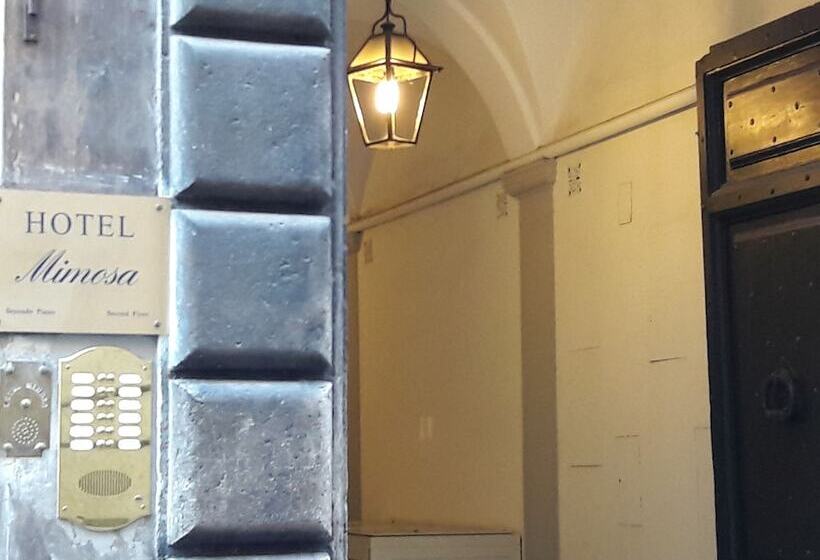 هتل Mimosa Pantheon