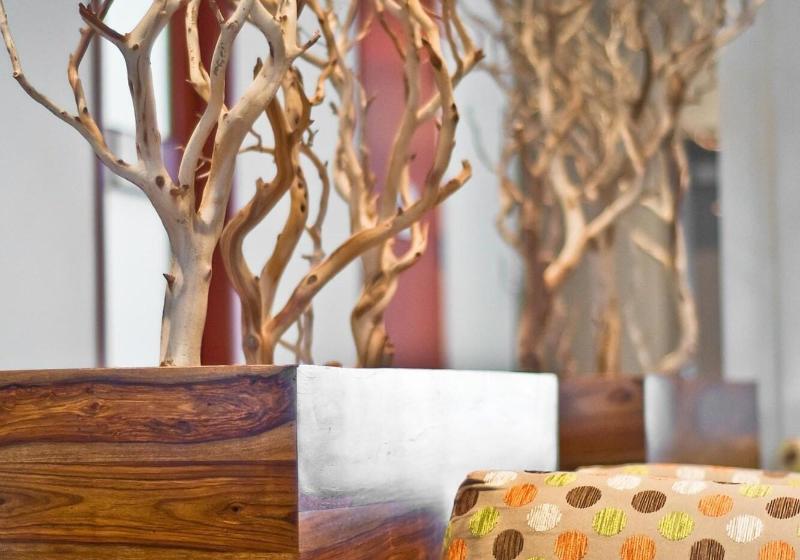 בית מלון כפרי Must