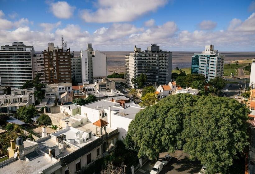 هتل Own Montevideo