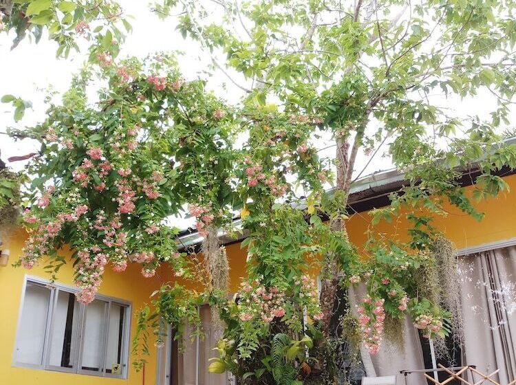 בית מלון כפרי Penny's Home Stay Resort