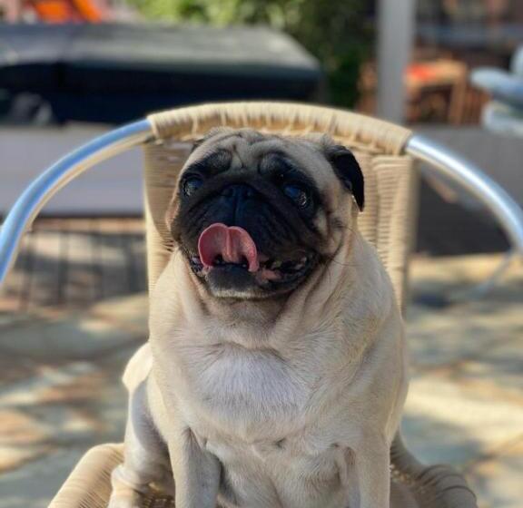 هتل Pousada Ponta Do Lobo