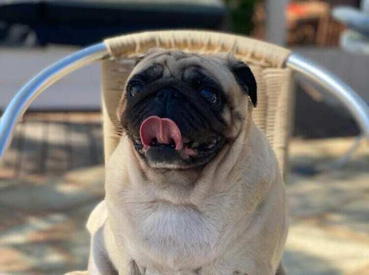 هتل Pousada Ponta Do Lobo