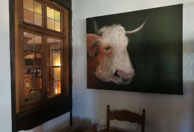 فندق Saxenhof Der Rhöner Botschaft