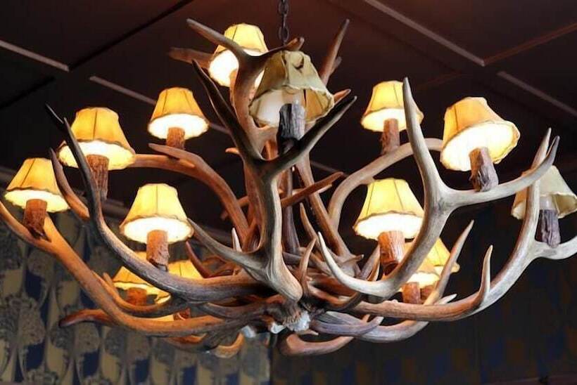 Shakespeare Hotel Surry Hills