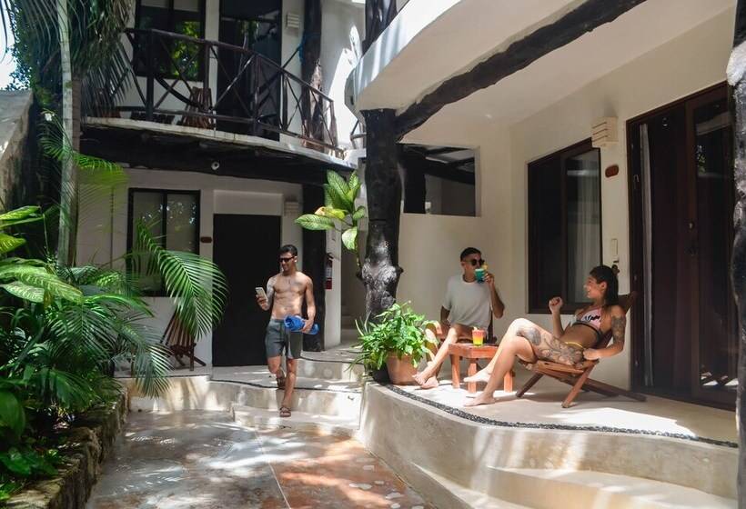 Siesta Fiesta Hotel Adults Only 5th Avenue