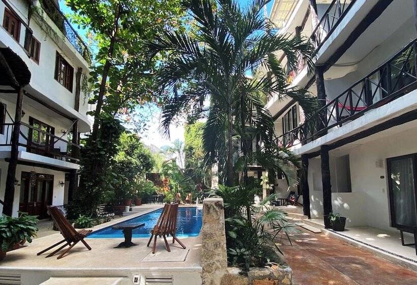 Siesta Fiesta Hotel Adults Only 5th Avenue