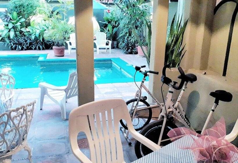 호텔 Solimar Inn Suites