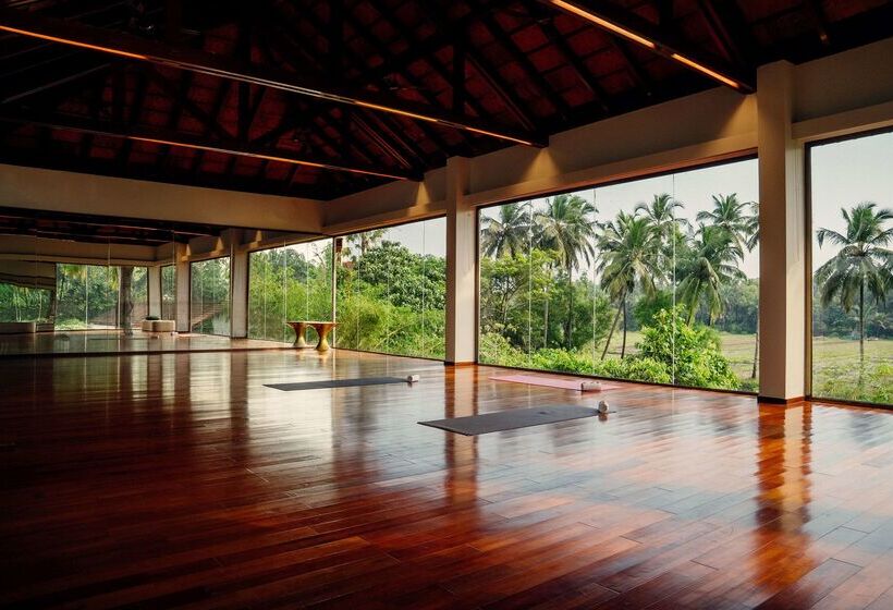 ホテル Diwa Club By Alila   A Hyatt Brand