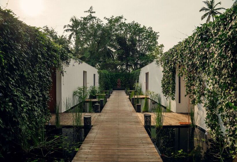 ホテル Diwa Club By Alila   A Hyatt Brand