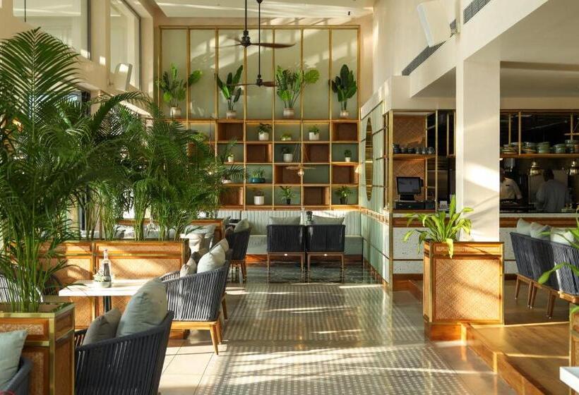 ホテル Diwa Club By Alila   A Hyatt Brand