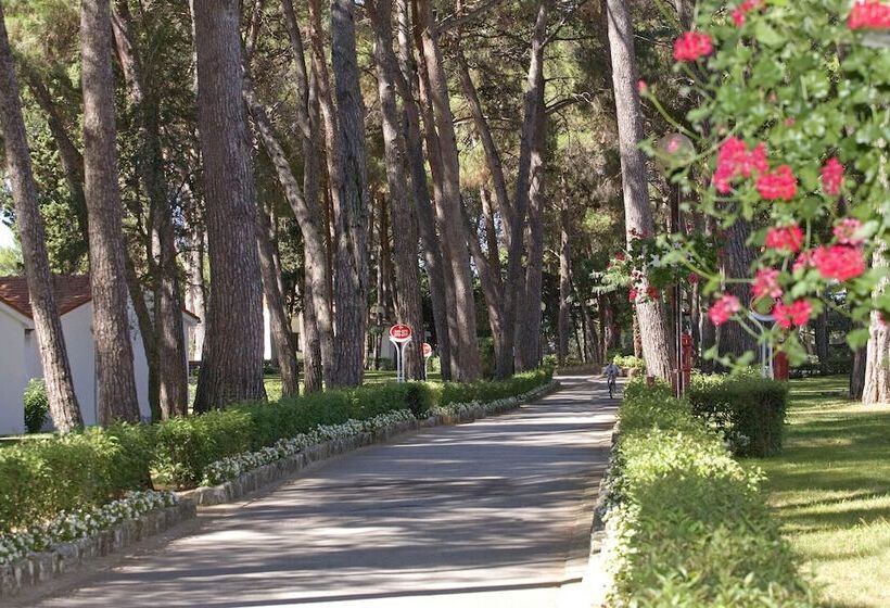 בית מלון כפרי Villa Galijot Plava Laguna