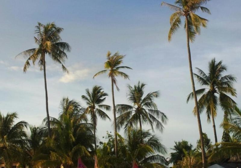 فندق على الطريق Huda Inn