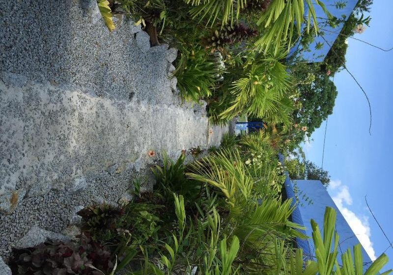 Мотель The Box Chalet