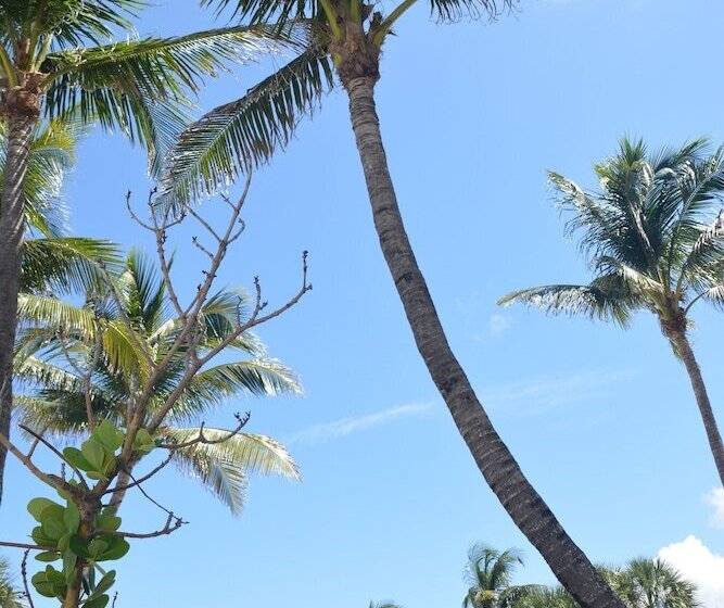 New Point Miami Beach Apartments