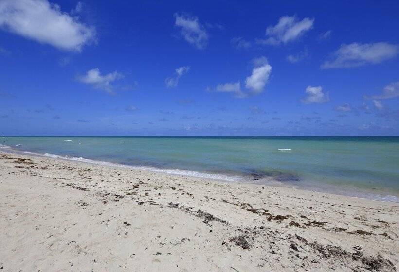 New Point Miami Beach Apartments