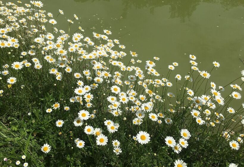 Пансион Château Les Vallées