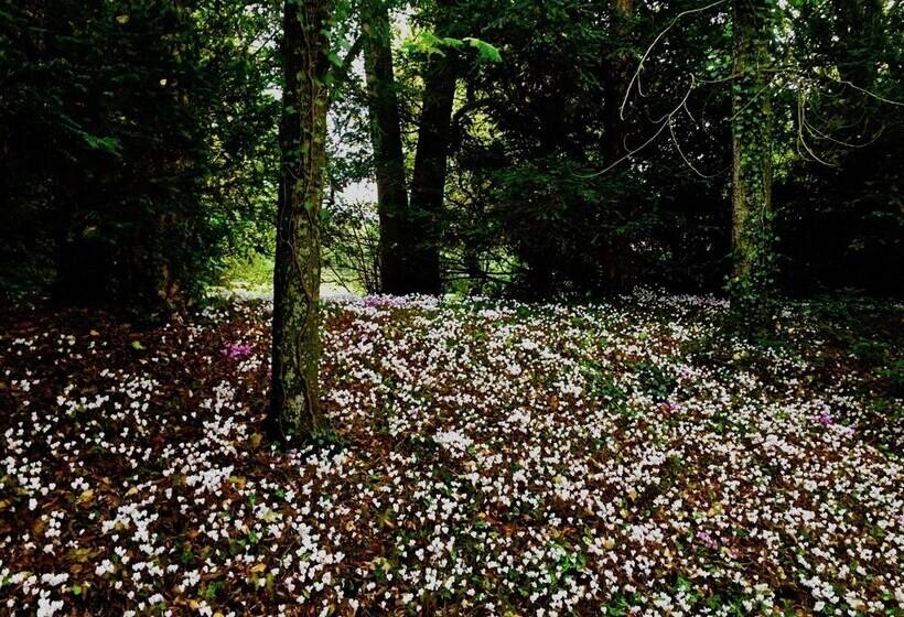 Пансион Château Les Vallées