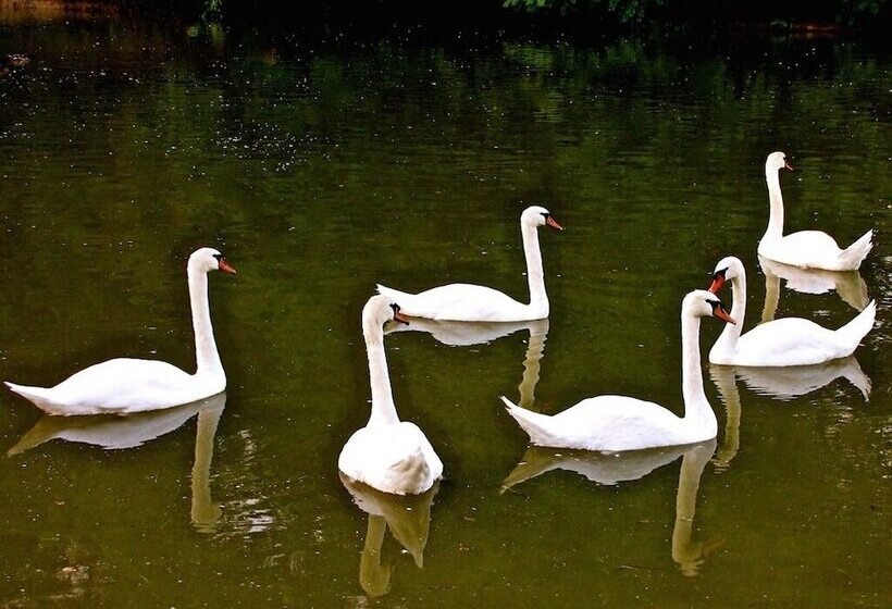 Пансион Château Les Vallées