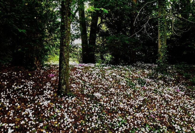 Пансион Château Les Vallées