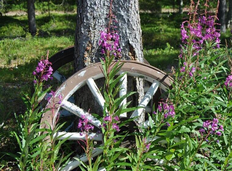 Пансион Lappeasuando Lodge