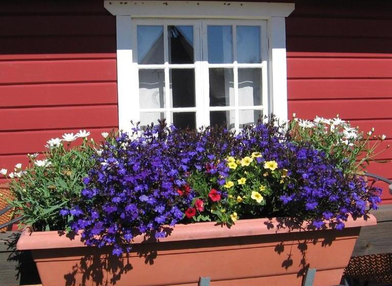 Пансион Lappeasuando Lodge