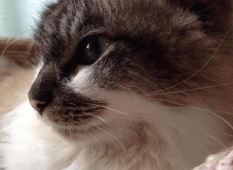 Пансион Milk Ya Women Only Guest House