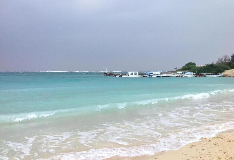 Пансион Milk Ya Women Only Guest House