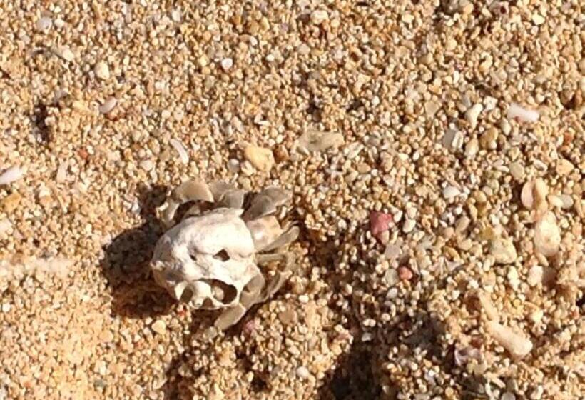 Пансион Milk Ya Women Only Guest House