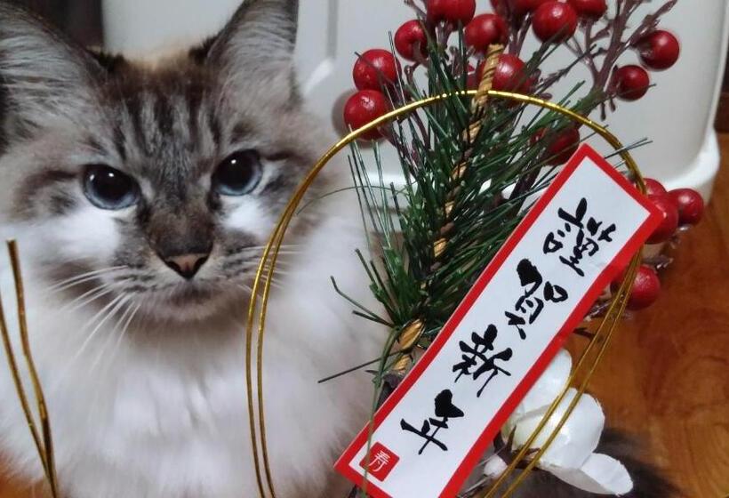 Пансион Milk Ya Women Only Guest House