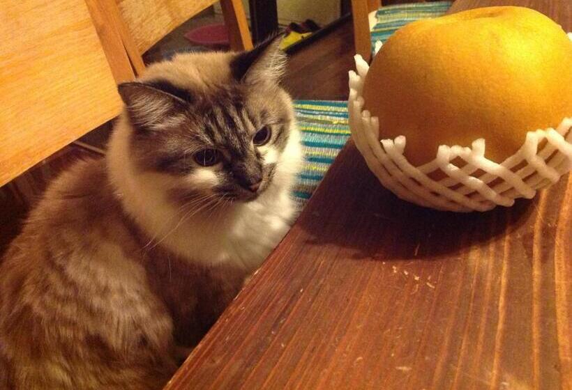 Пансион Milk Ya Women Only Guest House