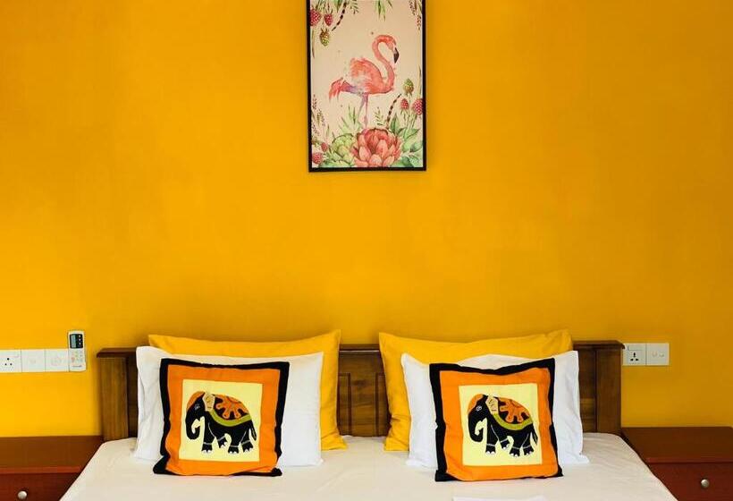 بنسيون Sam's Guest House