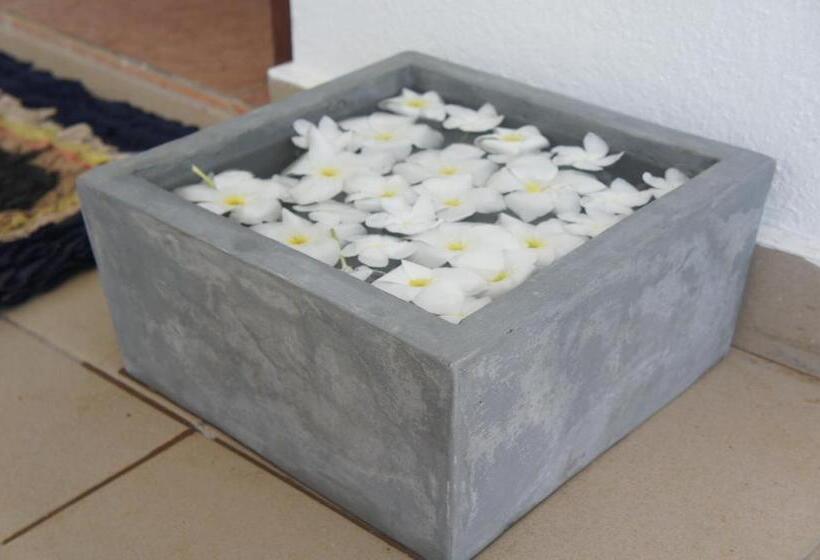 بنسيون Sam's Guest House