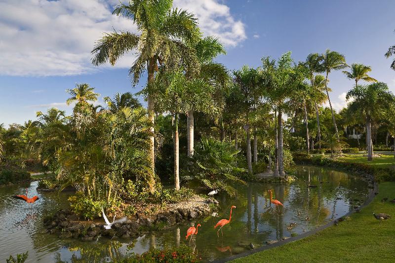 استراحتگاه The Level At Melia Caribe Beach - All Inclusive