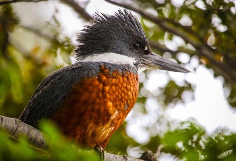 Río Serrano Hotel + Spa