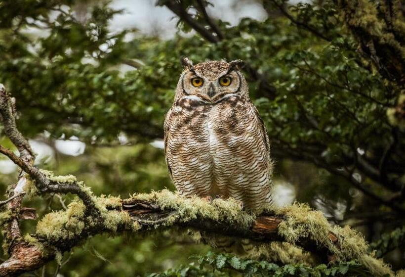 Río Serrano Hotel + Spa