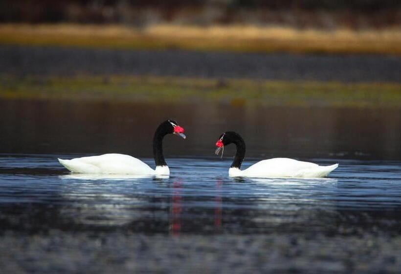 Río Serrano Hotel + Spa
