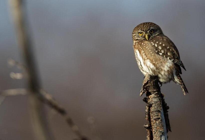 Río Serrano Hotel + Spa