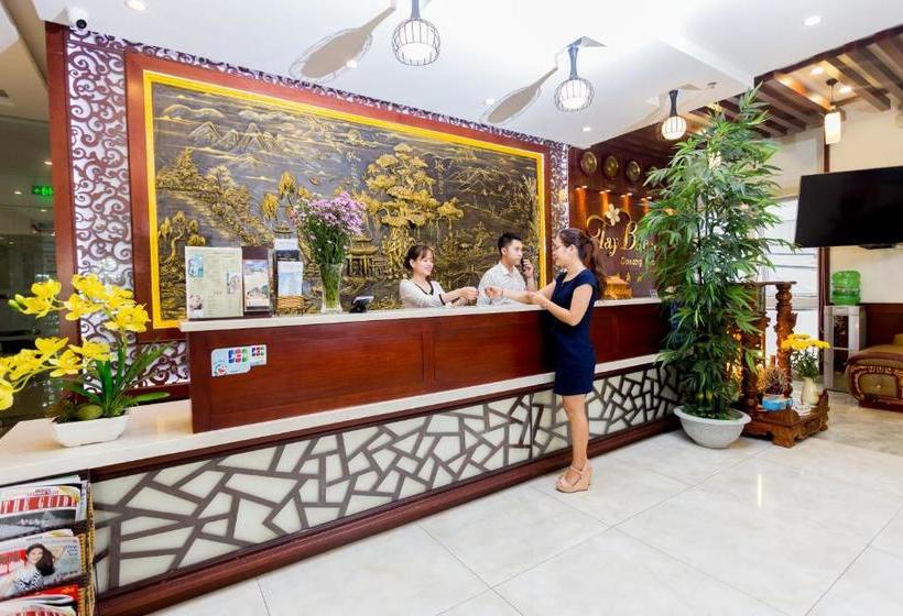 Fotos del hotel Tay Bac Hotel Da Nang:  4