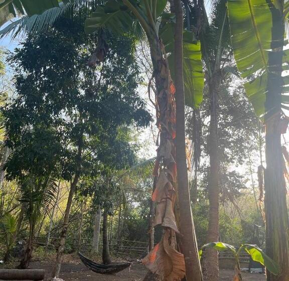 הוסטל Morue S Den