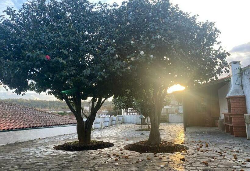 住宿加早餐  Casa Da Ponte, Coja