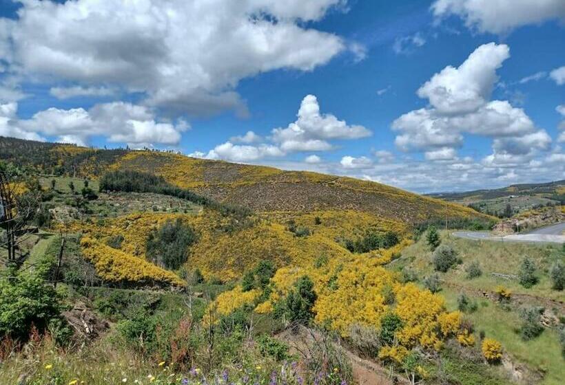 住宿加早餐  Casa Da Ponte, Coja