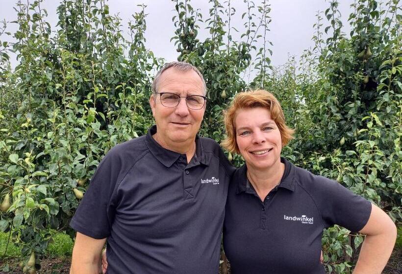 צימר Chalet Conference 6 Pers