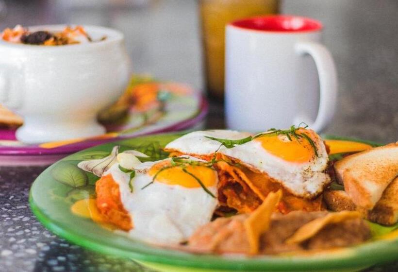 Boutique Hotel & Suites Hacienda Lord Twigg