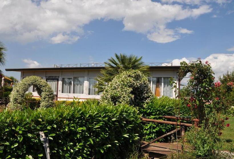 Отель Agriturismo Borgo Baldassarre