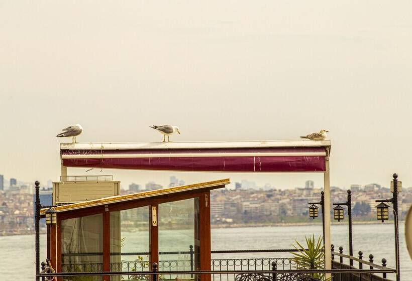 هتل Blue Zerzevan Konak