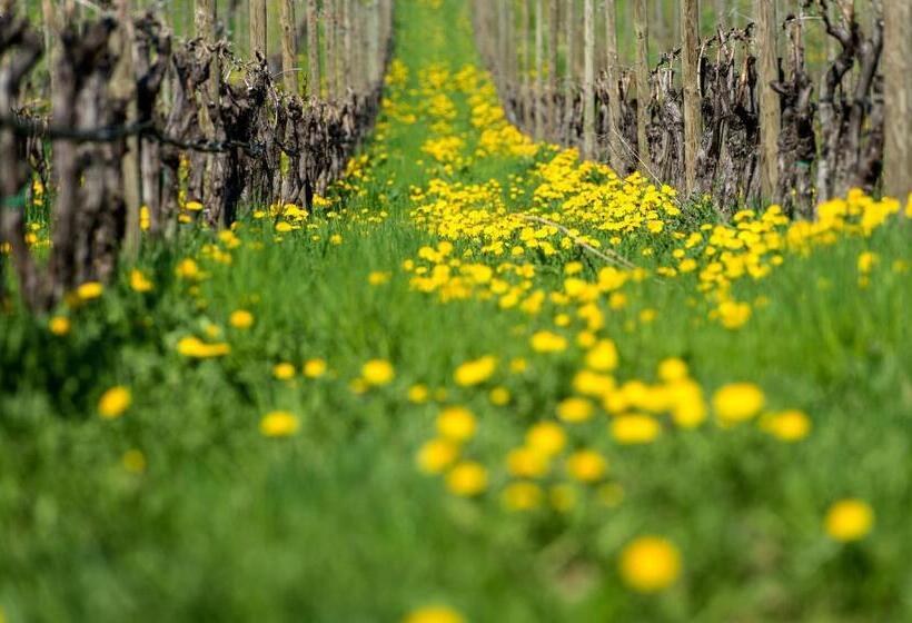 בית מלון כפרי Dissertorihof