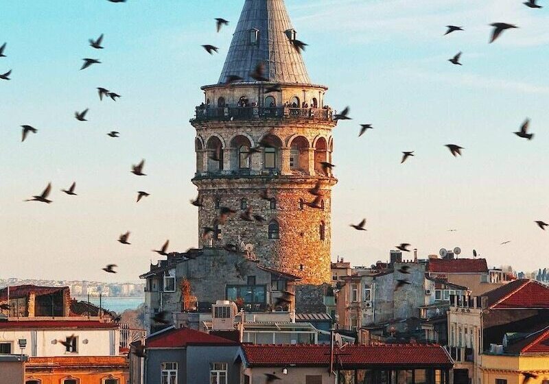 فندق Golden Door