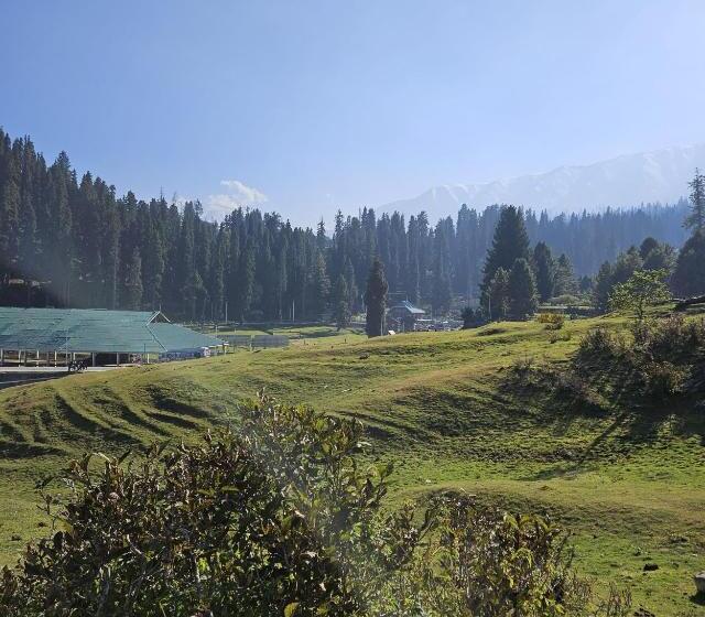 酒店 Gulmarg Woods By Stay Pattern