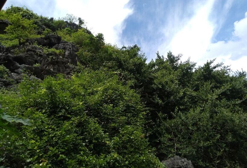 هتل Hang Mua Eco Garden