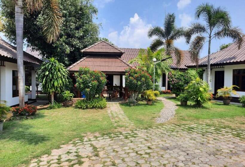 בית מלון כפרי Pailifornia